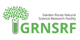 grnsrf logo2